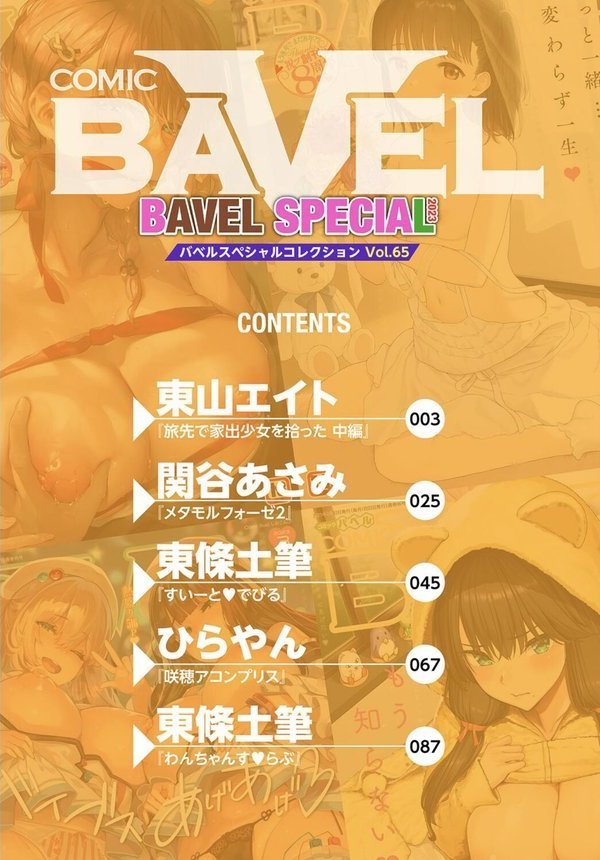 COMIC BAVEL SPECIAL COLLECTION（コミックバベル スペシャルコレクション）VOL65 エロ画像 002